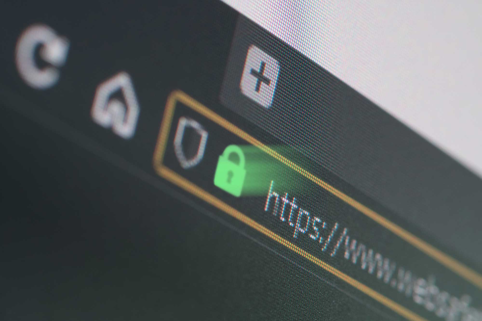 The Importance of SSL Certificates and Website Security