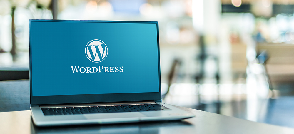 Updating Your WordPress Site